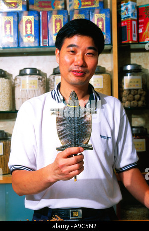 Drogisten halten chinesische Tiermedizin getrocknet Kröte zentralen Stadtteil Hong Kong china Stockfoto