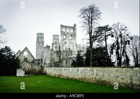 Ruinen der Abbaye de Jumieges Normandie Frankreich Stockfoto