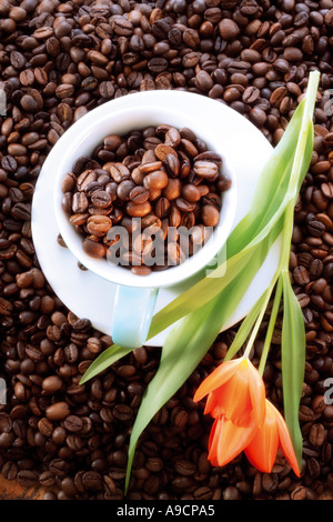 Frische Kaffeebohnen in Kaffeetasse, erhöhten Blick Stockfoto