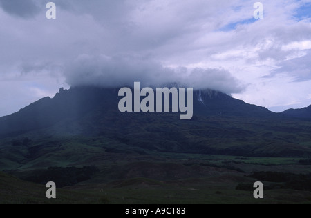 Ein Einweichen Regen füttert Salto Kukenan und verschiedenen kurzlebigen Wasserfälle auf Kukenan Tepui Venezuela Stockfoto