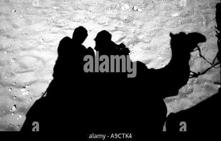 Kamel und Fahrer in Westaustralien Silhouette Yanchep Strand Stockfoto