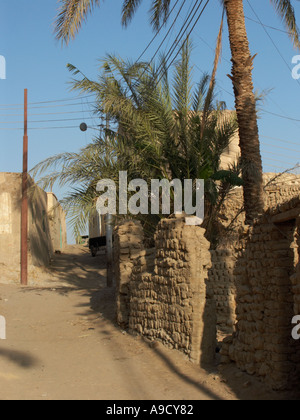 Alten Gebäude in El Bawiti weitgehend aus Lehmziegeln gebaut Stockfoto