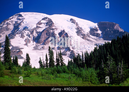 Mount Rainier Nationalpark, Washington State, USA - Mt Rainier und Nisqually Glacier gesehen vom Paradies Stockfoto