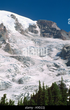 Mount Rainier und Nisqually Glacier in Mount Rainier Nationalpark im US-Bundesstaat Washington USA Stockfoto