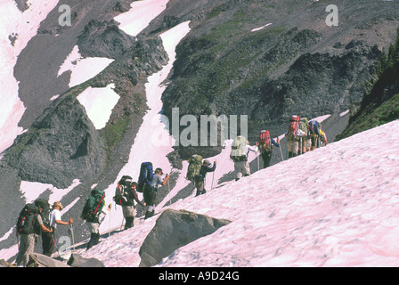 Mount Rainier Nationalpark, Washington State, USA - Wanderer / Backpacker / Kletterer Wandern einzelne Datei auf Trail Camp Muir Stockfoto