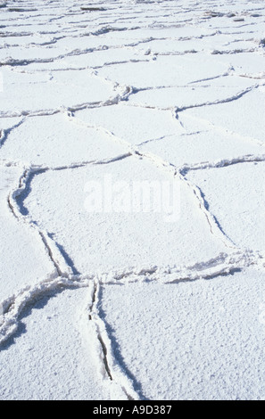 Stock des Death Valley Salt Flats in der Nähe von Badwater Kalifornien USA Stockfoto