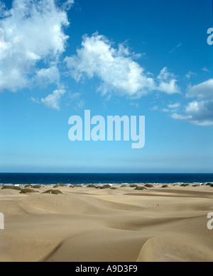 Sand-Dünen von Maspalomas, Gran Canaria, Kanarische Inseln, Spanien Stockfoto