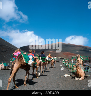 Kamel reitet im Nationalpark Timanfaya, Lanzarote, Kanarische Inseln, Spanien Stockfoto