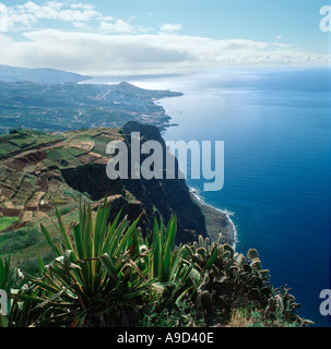 Blick auf die Stadt Funchal aus den Klippen Cabo Girao, Madeira, Portugal Stockfoto