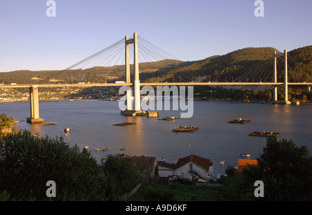 Blick auf die moderne Hängebrücke Europas der Ria de Vigo Chapela Galizien Spanien iberischen Halbinsel Iberia España Stockfoto