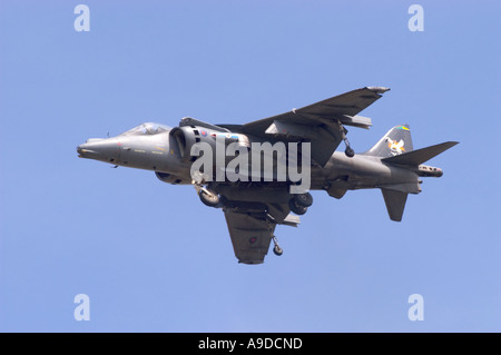 RAF Harrier GR7 Stockfoto