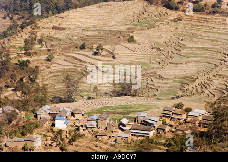 Terrassierten Felder von Nagarkot, Nepal, Kathmandu-Tal aus gesehen Stockfoto