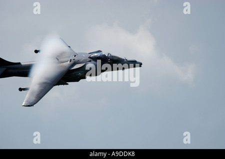 RAF Harrier GR.7 Stockfoto