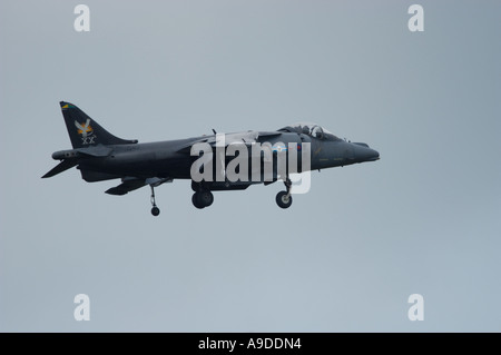 RAF Harrier GR.7 Stockfoto