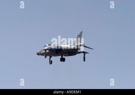 Royal Navy Sea Harrier Stockfoto