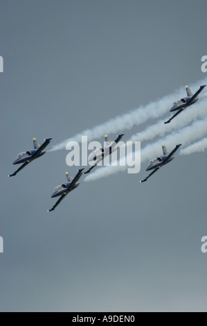 Breitling-Flugschau team l-39 Albatros Stockfoto