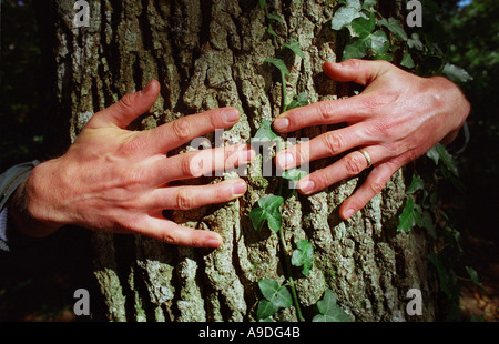 Baum umarmen Stockfoto