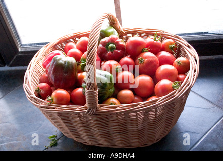 Frisch gepflückten Korb mit Tomaten und Paprika auf Küche Anrichte. Zawady Polen Stockfoto