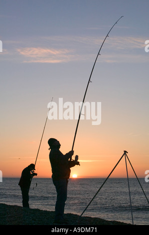 Meer-Fischer, die Kokons in einem Fisch in der Abenddämmerung auf Weybourne Beach North Norfolk Stockfoto