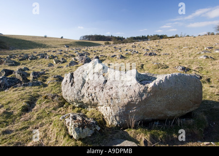 Blick über Fyfield unten in der Nähe von Marlborough in Wiltshire Stockfoto