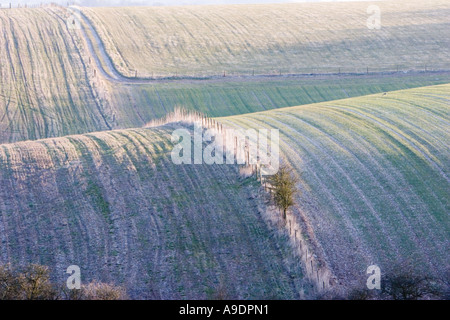 Blick über Fyfield unten in der Nähe von Marlborough in Wiltshire Stockfoto