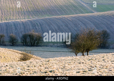 Blick über Fyfield unten in der Nähe von Marlborough in Wiltshire Stockfoto