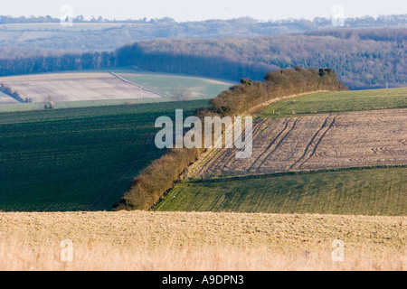 Blick über Fyfield unten in der Nähe von Marlborough in Wiltshire Stockfoto