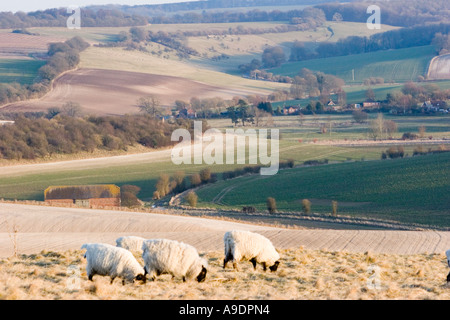 Blick über Fyfield unten in der Nähe von Marlborough in Wiltshire Stockfoto