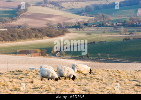 Blick über Fyfield unten in der Nähe von Marlborough in Wiltshire Stockfoto