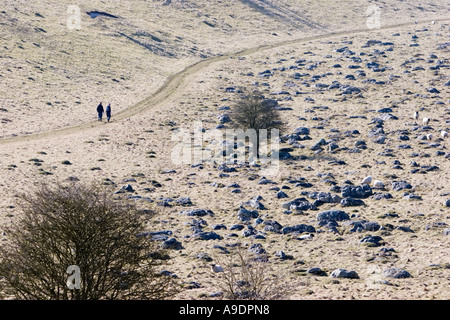 Blick über Fyfield unten in der Nähe von Marlborough in Wiltshire Stockfoto