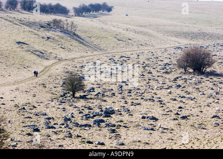 Blick über Fyfield unten in der Nähe von Marlborough in Wiltshire Stockfoto