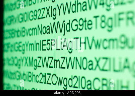 Hacker Geheimcode angezeigt Computermonitor Stockfoto