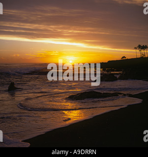 Dramatischen Westküste Sonnenuntergang mit Palmen Bäume in der Silhouette auf Tanna Insel in der Inselgruppe Vanuatu im Südpazifik Stockfoto