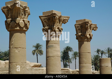 Spalte Köpfe und Palmen Bäume im ägyptischen Tempel der Hathor Dedarah Qena Stockfoto