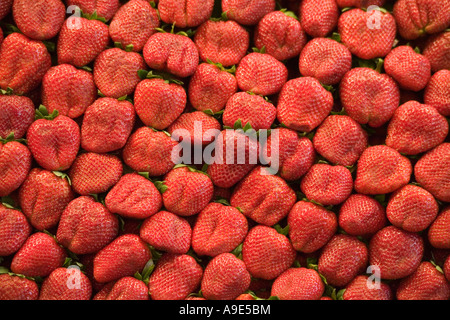 Erdbeeren in La Boqueria-Markt Stockfoto