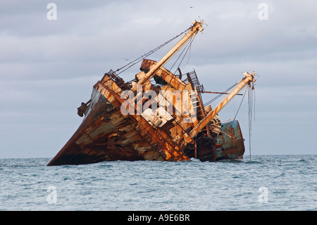 Das Wrack der SS American Star, Playa de Garcey, Fuerteventura, Kanarische Inseln, Islas Canarias, Spanien, España, Europa, Europa Stockfoto