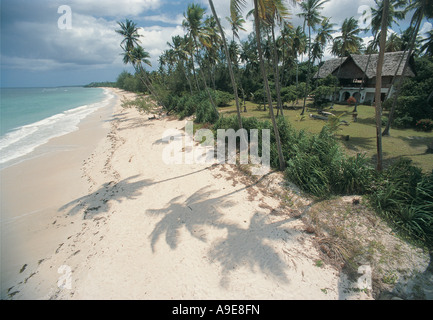 Blick auf Strand mit Schatten der Palmen Bäume Kenia Küste Stockfoto