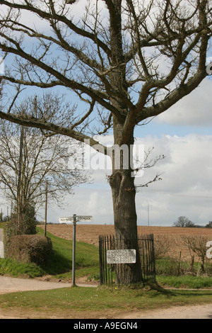 Kempley Gloucestershire England GB UK 2006 Stockfoto