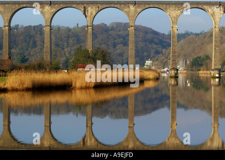 Calstock Eisenbahnviadukt, das Devon, Cornwall Großbritanniens Tamar River verbindet Stockfoto