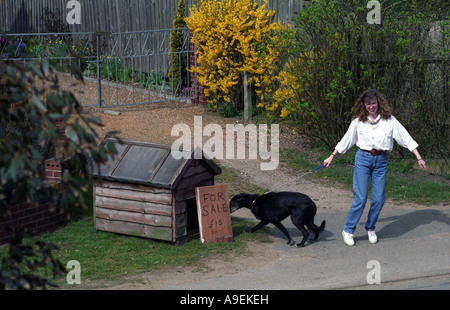 Eine Hundehütte für den Verkauf in das Dorf Bawdsey, Suffolk, UK. Stockfoto