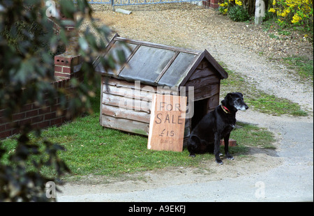 Eine Hundehütte für den Verkauf in das Dorf Bawdsey, Suffolk, UK. Stockfoto