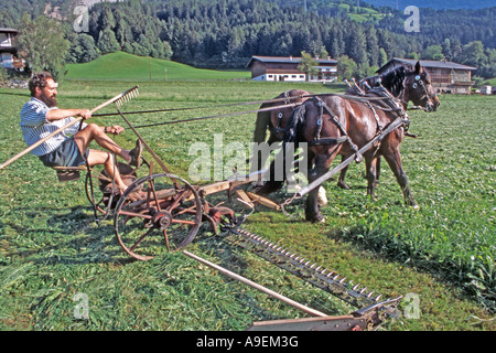 South German Coldblood Pferde (Equus Caballus) ein Team von zwei ziehen ein Mähwerk mit Bauer Hubert Kirchmair, Tirol Stockfoto