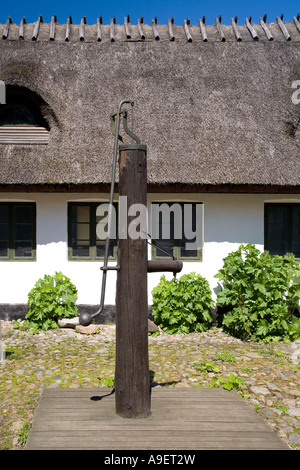 Alte Wasserpumpe vor eine strohgedeckte Hütte Stockfoto