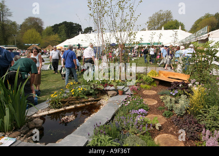 Königliche Gartenbau Gesellschaft Spring Flower Show Bute Park Cardiff Stockfoto