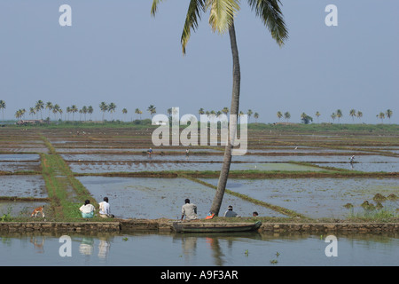 Bauern ruhen unter einer Palme am Ufer zwischen Reisfeldern und den "Backwaters" in der Nähe von Alappuzha (Alleppey), Kerala, Südindien Stockfoto