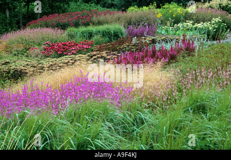 Pensthorpe Millennium Garten, Norfolk, England, Gräser, Lythrum, Echinacea, Sedum, Drift, Prärie Pflanzen, Piet Oudolf-Garten Stockfoto