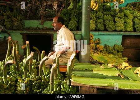 Banane-Stall und Besitzer in der Stadtmarkt in Mysore, Karnataka, Indien Stockfoto