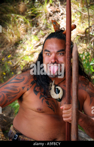 Maori Guide auf einer traditionellen Waka (Kanu) Tour Paihia in The Bay of Islands in North Island, Neuseeland Stockfoto