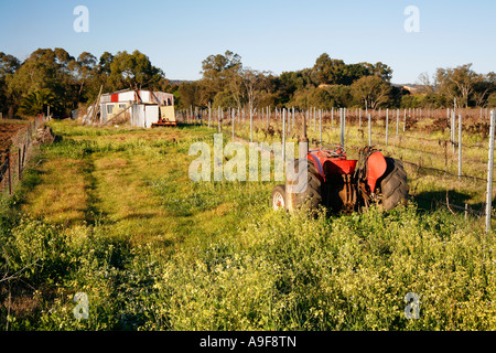 Swan Valley Ländliches Motiv auf dem Lande etwas außerhalb von Perth Western Australia Stockfoto