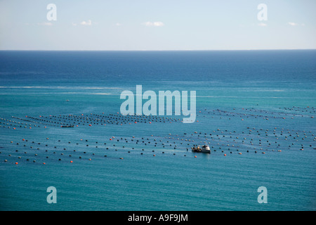 Austernfarm und Angelboote/Fischerboote der Küste in Wainui Bay zwischen Golden und Tasman Bay, Südinsel, Neuseeland Stockfoto